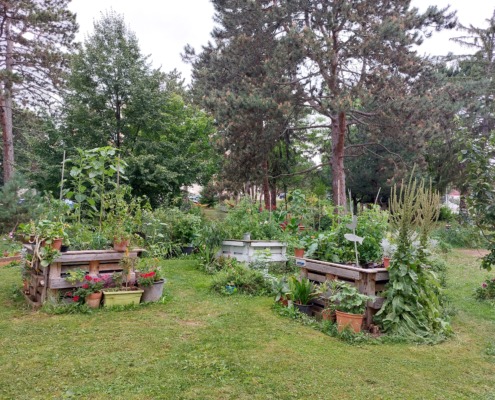 Therapiegarten in der Klinik Hietzing