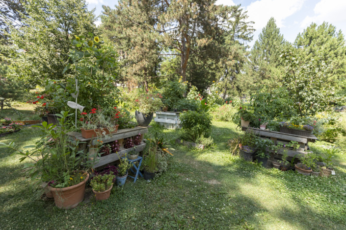 Klinik Hietzing, Therapiegarten