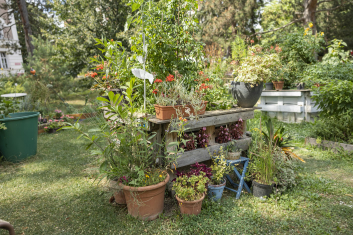 Klinik Hietzing, Therapiegarten