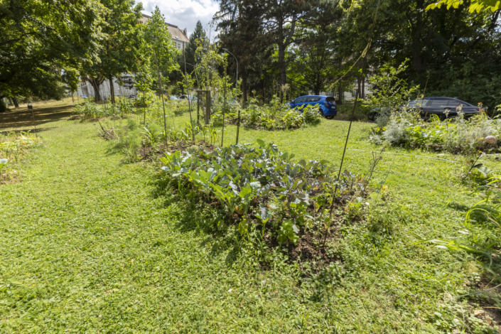 Klinik Hietzing, Therapiegarten