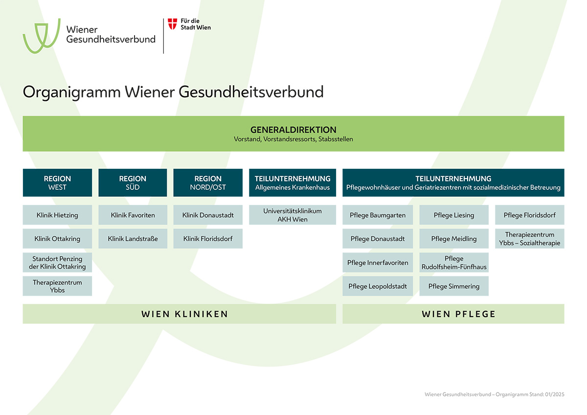 Wiener Gesundheitsverbund Organigramm
